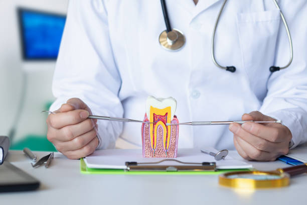 Best Pediatric Emergency Dentist in Redfield, AR